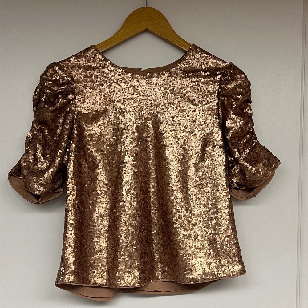 Abercrombie and Fitch Sequined Puff-Sleeve Women’s Top - Rose Gold